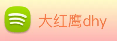 大红鹰dhy Logo
